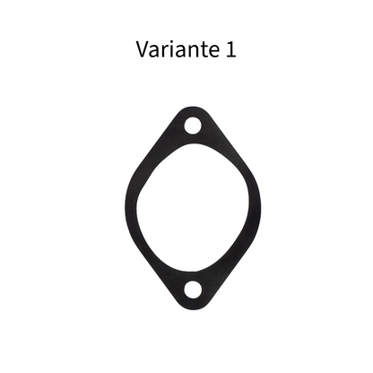 Aprilia RSV, SL, RST, ETV 1000 Gaskets